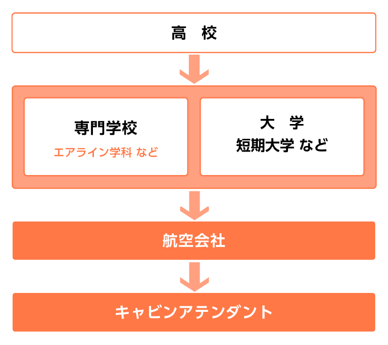 キャビンアテンダントになるには？