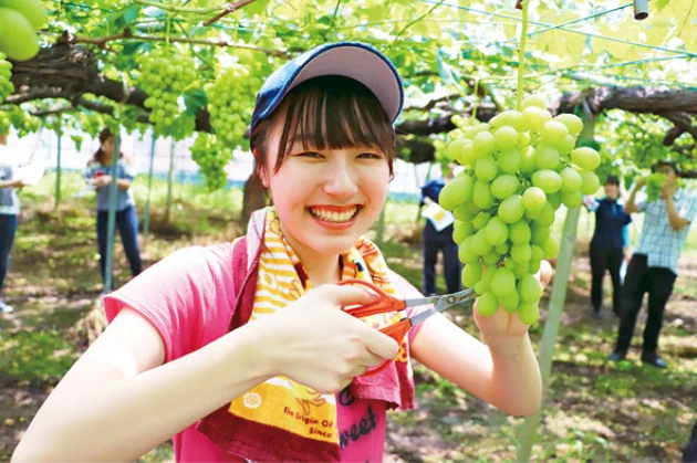 産学連携による、✕企業・✕自治体